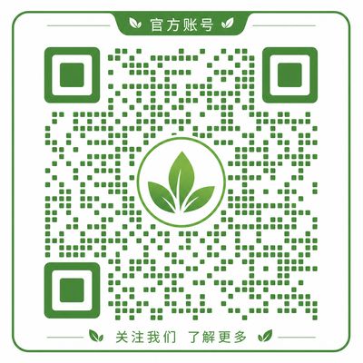 国产自拍